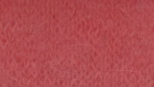 PRESTIGE     nm 21            013324 BLUSH