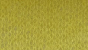 PRESTIGE     nm 21            013810 LIME