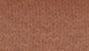 PRESTIGE     nm 21            013820 DOE