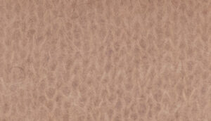 PRESTIGE     nm 21            013826 HAZELNUT