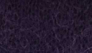 PRESTIGE     nm 21            013869 VIOLECT