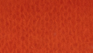 PRESTIGE     nm 21            013870 SCARLET IBIS