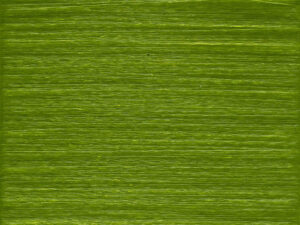 CELLULOIDE   nm 1/140         091134 PISELLO