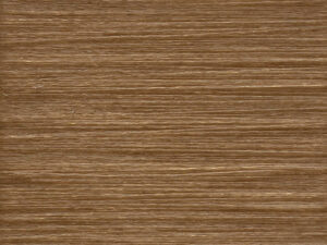 CELLULOIDE   nm 1/140         091194 CAMEL