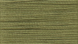 LATTICE     nm 3/60           011778 OLIVE