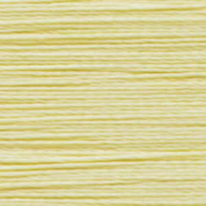 LATTICE   nm 2/60             011703 CANARY