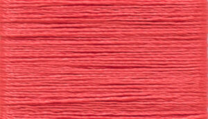 LATTICE   nm 2/60             011707 SCARLET