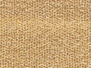 PRISMA   nm 48                012418 APRICOT