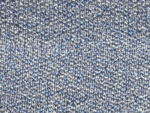PRISMA   nm 48                012624 BLUEBERRIES
