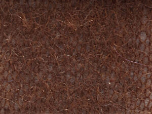EDEN    nm 15                 012894 BROWN