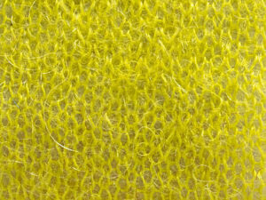 EDEN    nm 15                 013810 LIME