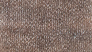 PRESTIGE MELANGE     nm 21    010485 CAT MEL