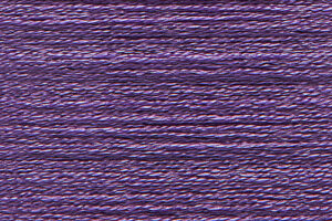 PRISCILLA CFSC   nm 34        011549 GRAPE